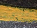 Coloration_a_la_riviere_076