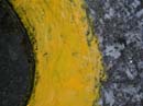 Coloration_a_la_riviere_078
