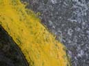Coloration_a_la_riviere_079