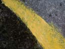 Coloration_a_la_riviere_081