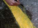 Coloration_a_la_riviere_084