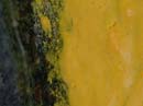 Coloration_a_la_riviere_094