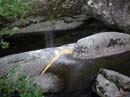 Coloration_a_la_riviere_101
