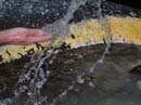 Coloration_a_la_riviere_102