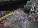 Coloration_a_la_riviere_111