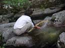 Coloration_a_la_riviere_114
