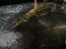 Coloration_a_la_riviere_126