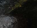 Coloration_a_la_riviere_128