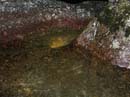 Coloration_a_la_riviere_140