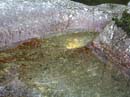 Coloration_a_la_riviere_143