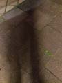 Allemagne_077