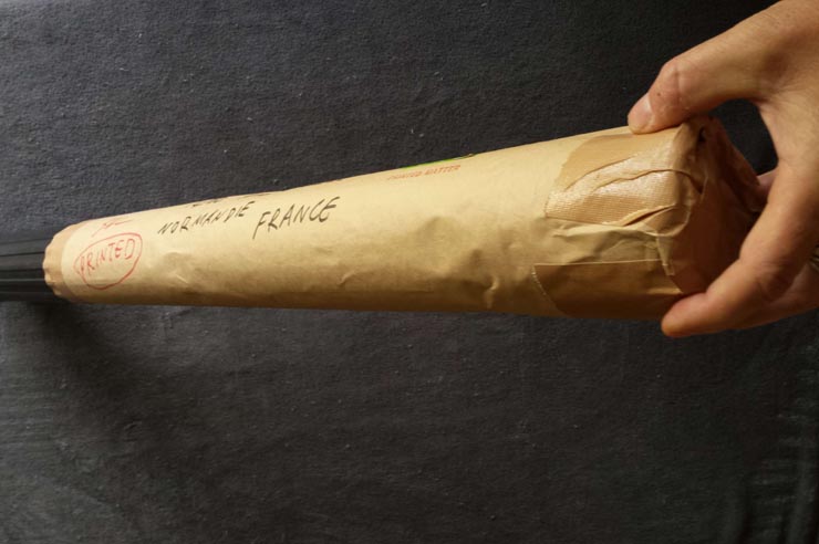 RYOSUKE_COHEN_FRACTAL_PORTRAIT_PROJECT_Aillet_2015_008