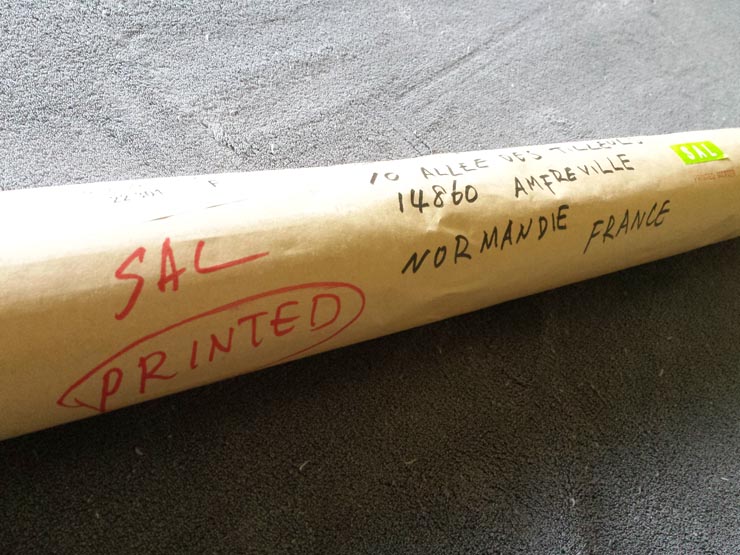 RYOSUKE_COHEN_FRACTAL_PORTRAIT_PROJECT_Aillet_2015_011