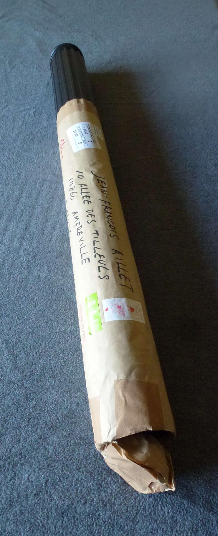 RYOSUKE_COHEN_FRACTAL_PORTRAIT_PROJECT_Aillet_2015_019