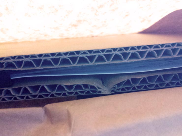 Ryosuke_Cohen_Orion_Soup_010