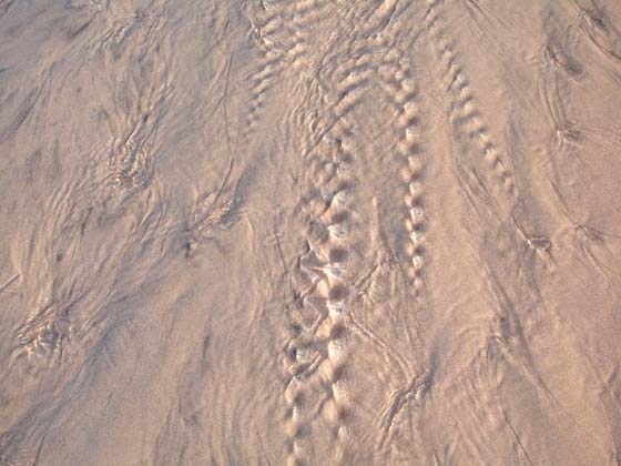 Patterns_011