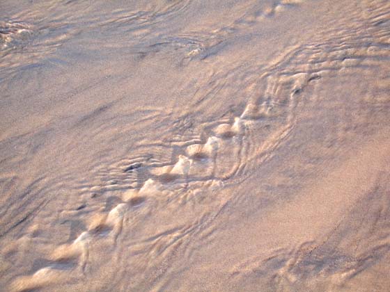 Patterns_014