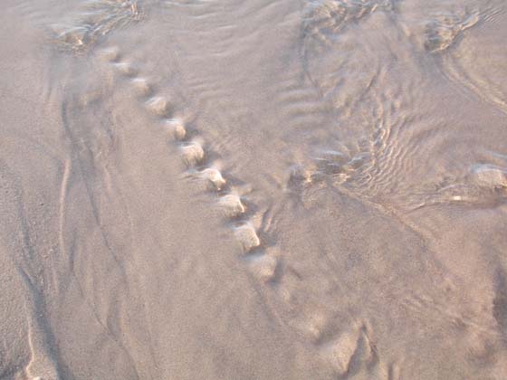 Patterns_017
