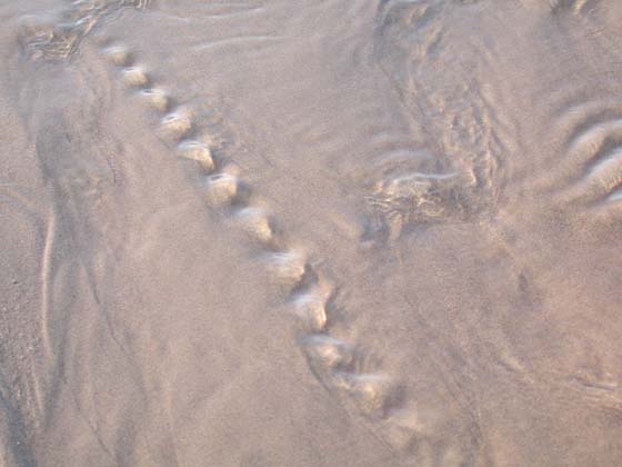 Patterns_019