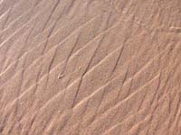 Patterns_003
