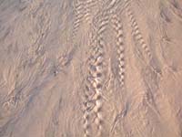 Patterns_011