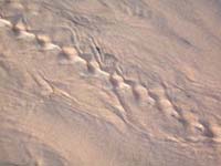 Patterns_015
