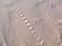 Patterns_017