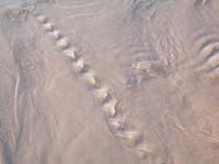 Patterns_019
