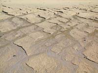 Patterns_020