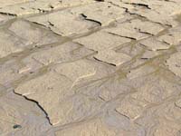 Patterns_021